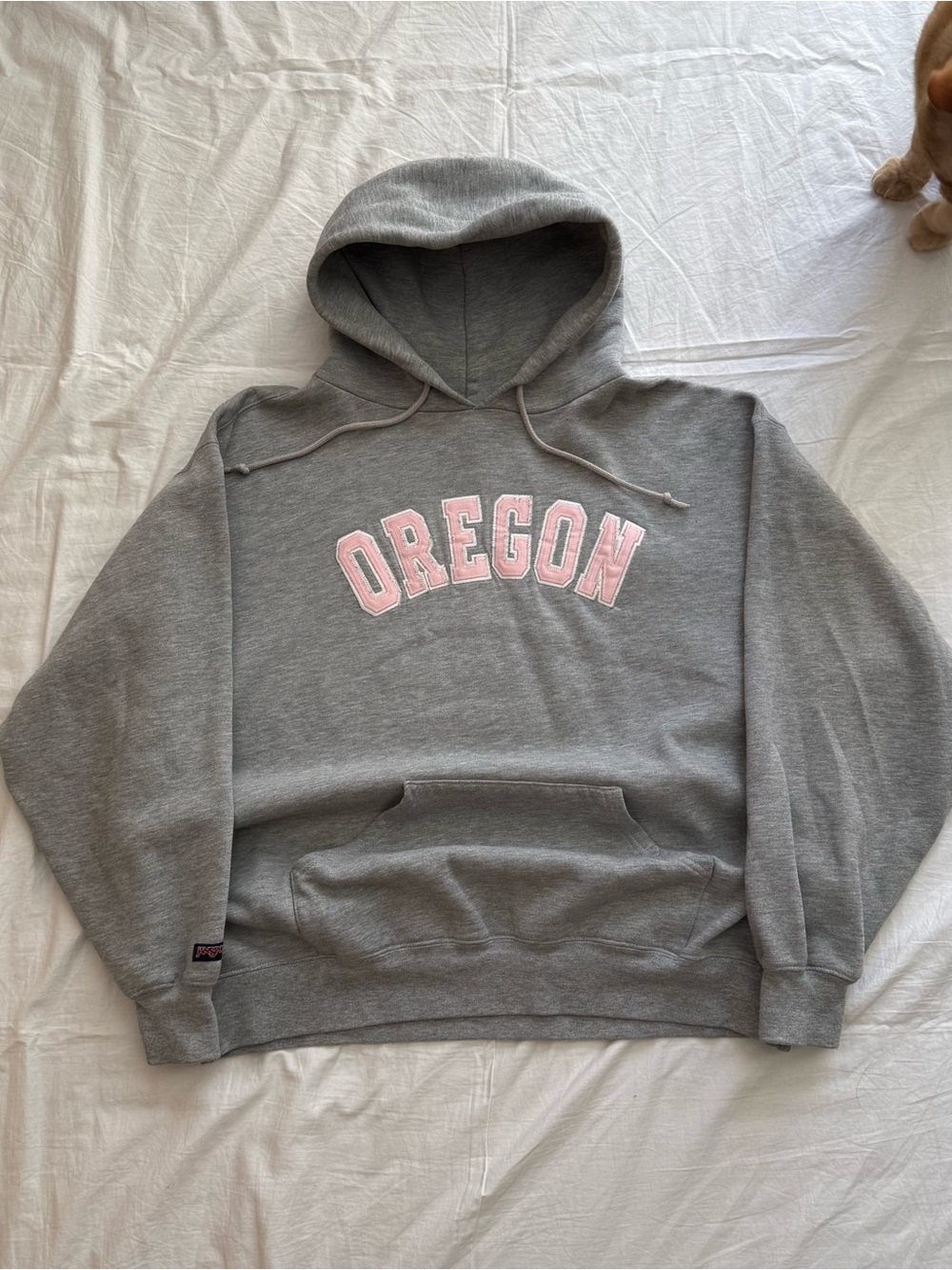 University of Oregon Ducks pink wordmark embroidered Jansport hoodie Women’s L